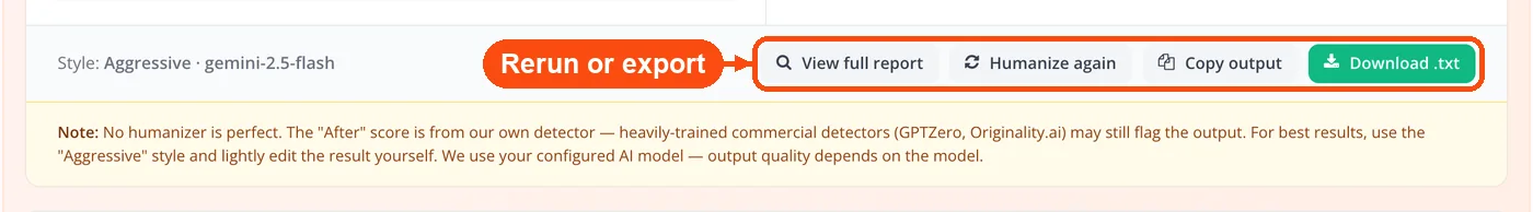 Report, rerun, copy and download buttons