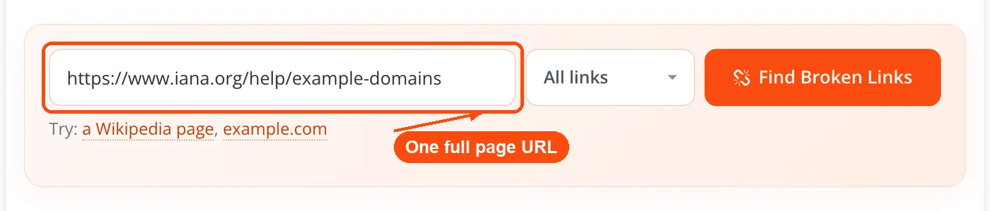 Page URL pasted into the checker
