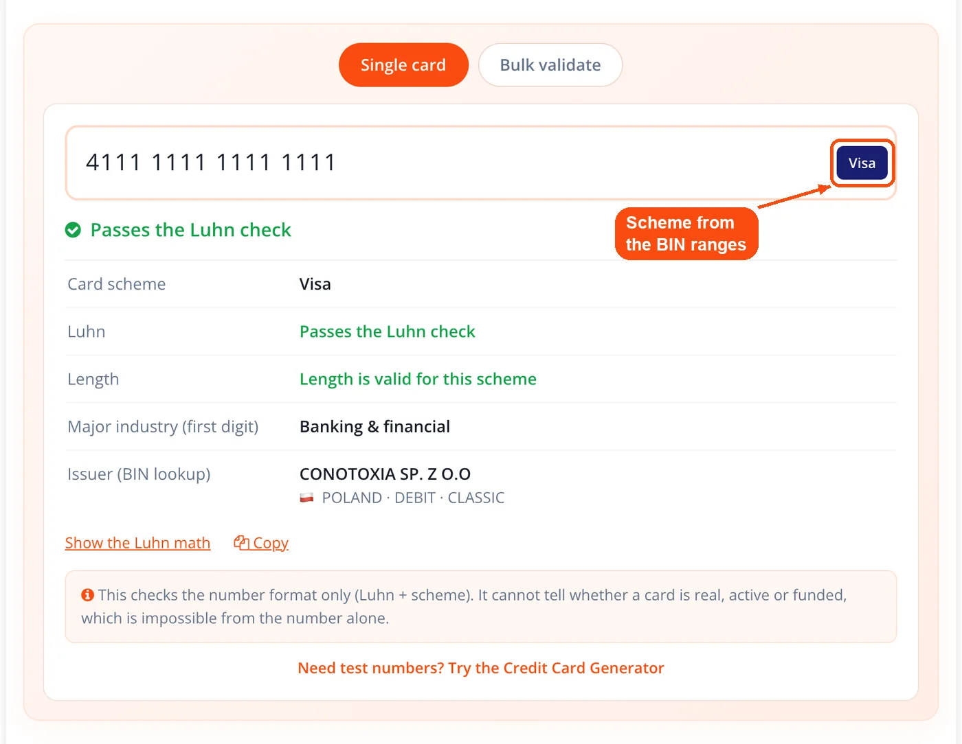 Visa badge shown for detected scheme