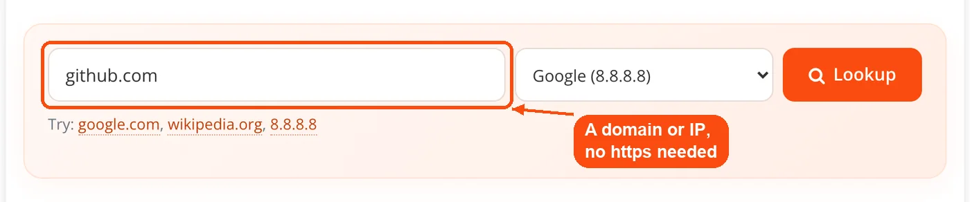 Domain typed into DNS Lookup
