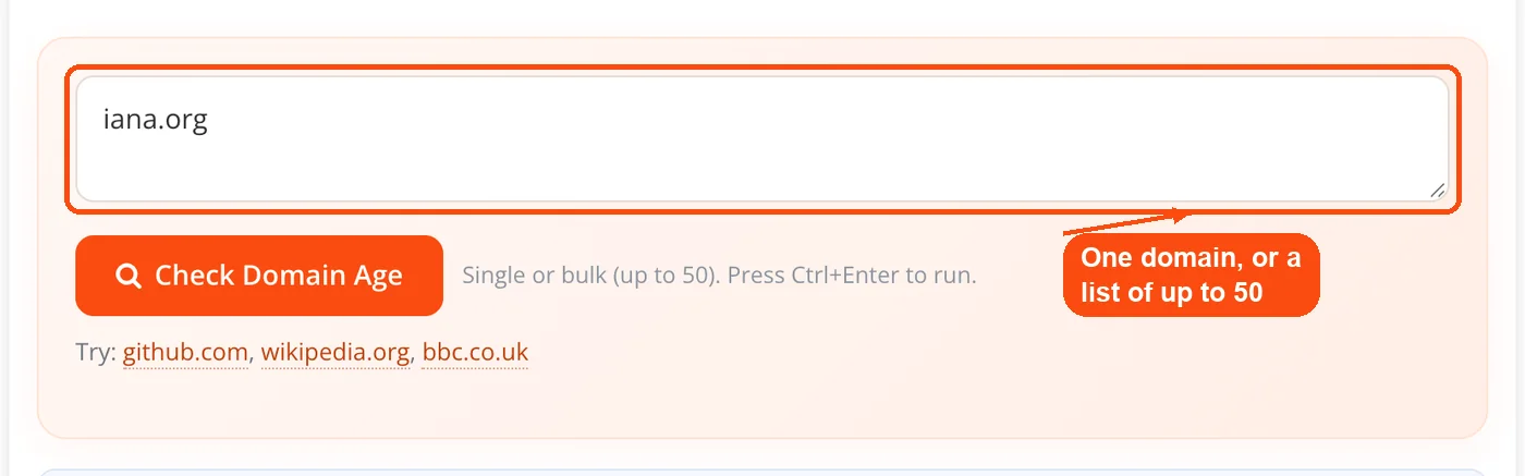 Domain typed into Domain Age Checker