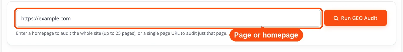 Website URL entered in the audit field