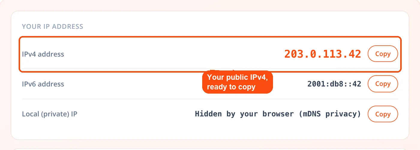 Public IPv4 address with copy button