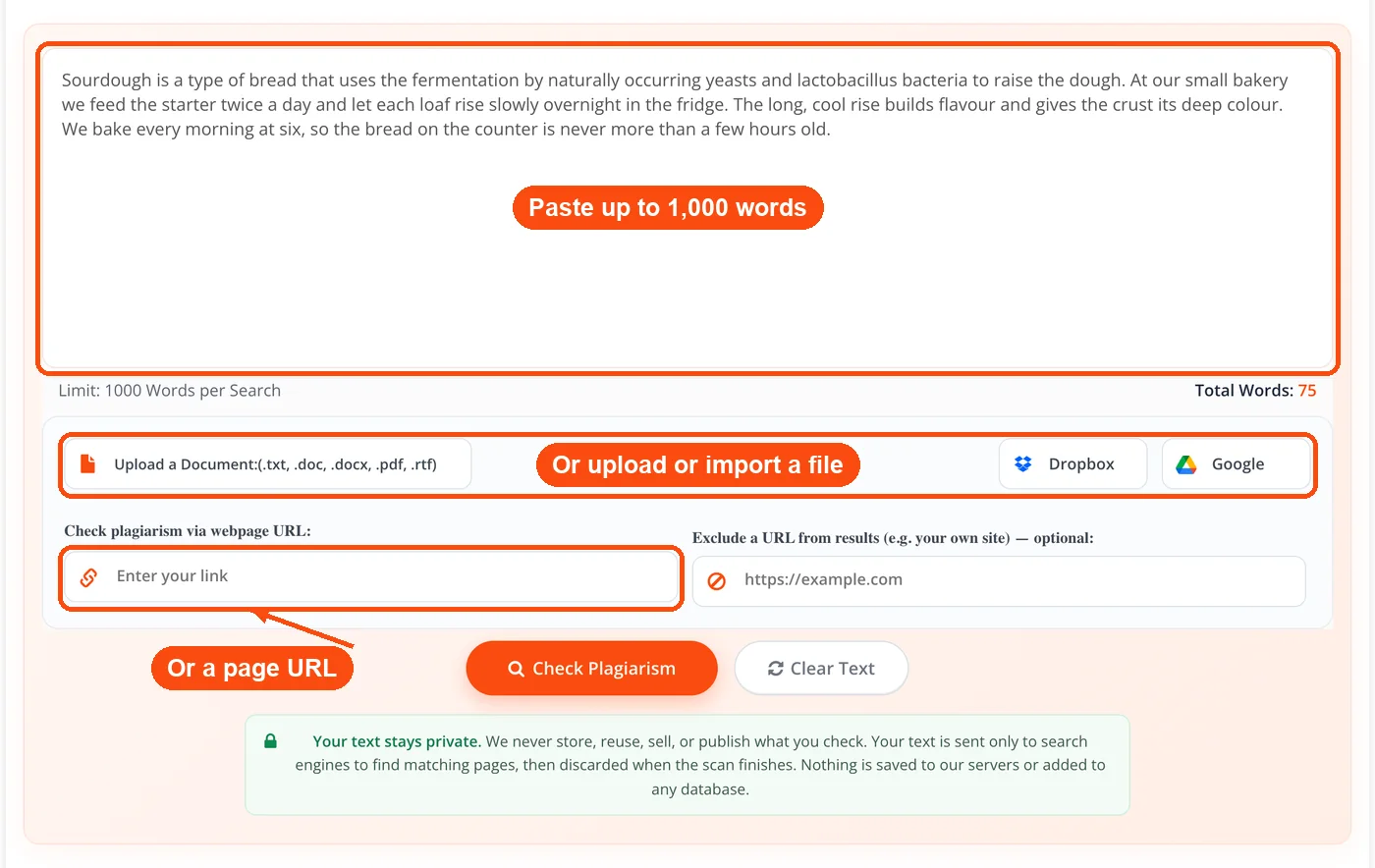 Text box, file upload and URL field