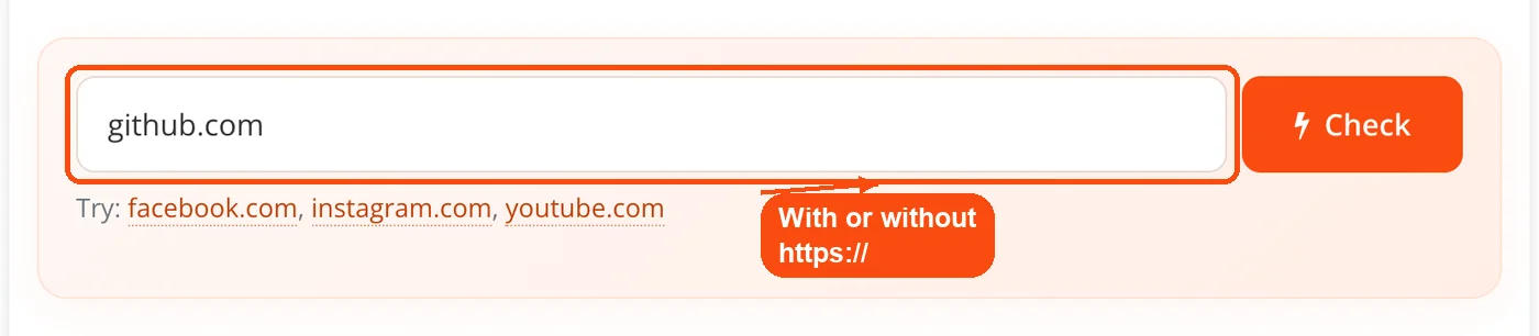 Website address typed into the checker